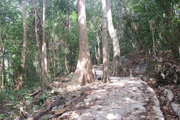 Bạn còn có thể khám phá rừng nguyên sinh ở khu bả o tồn, rồi tận hưởng cảm giác bình yên ở bãi Ông Đụng . 